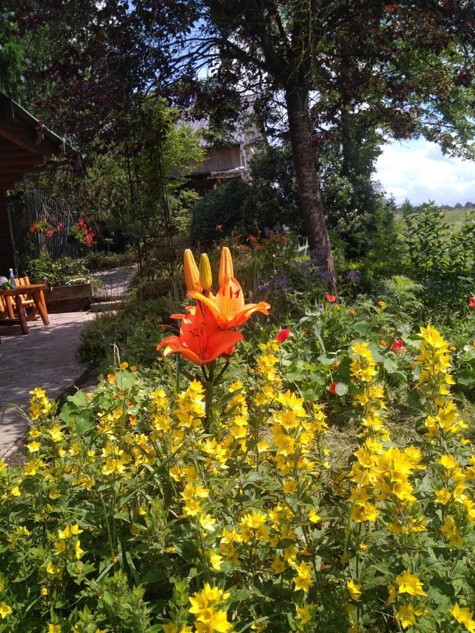 Au Paradou Du Bucheron Adults Only Lessive Екстер'єр фото