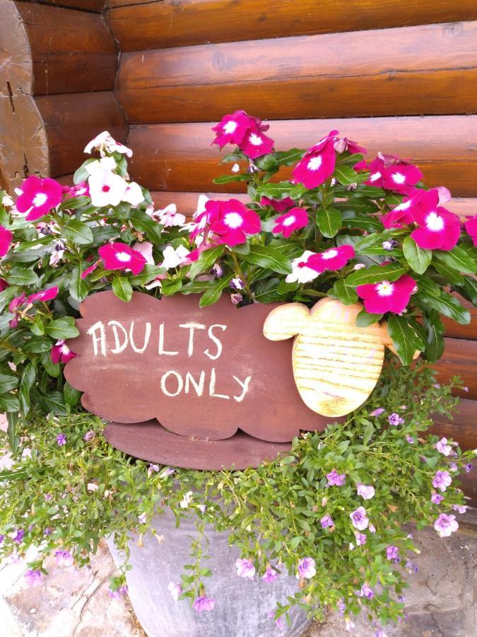 Au Paradou Du Bucheron Adults Only Lessive Екстер'єр фото